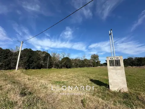 Mosconi 999 - Bº de la Música P: 13