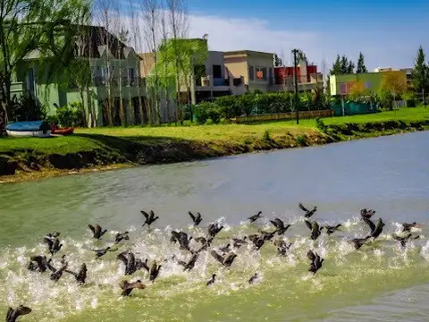 Lote al lago  El principado barrio privado - Canning