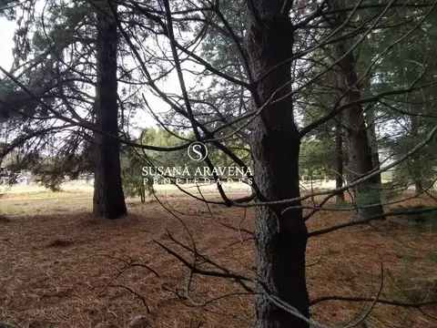 Lote en Venta en Chapelco Golf, San Martin De Los Andes