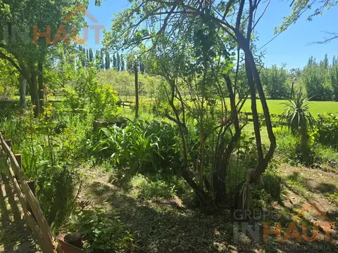 Chacra en Venta en Cinco Saltos 3,42Ha