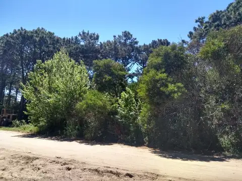 Terreno en Venta 10  mts Frente