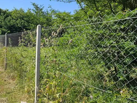 Terreno en  venta de 19,25 x 32,20 con construcción - Arturo Segui