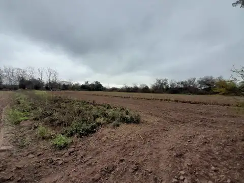 Terreno en Venta de 10000,0 m2