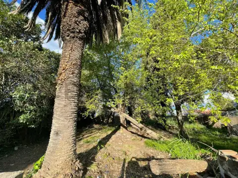 Terreno en Venta de 420,0 m2