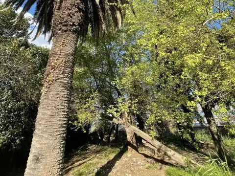 TERRENO EN VENTA EN EXCELENTE UBICACION GUERNICA CENTRO