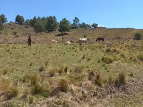 VENTA  12 HAS EN EL DURAZNO CORDOBA