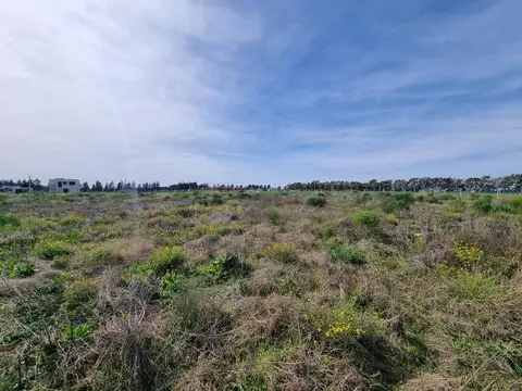 Terreno en Venta de 1968,0 m2