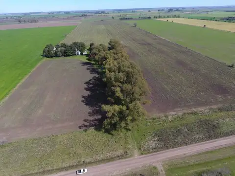 Campo en Venta en Altos De Robles, Parada Robles