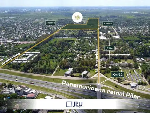 Dr Manuel argerich 1200