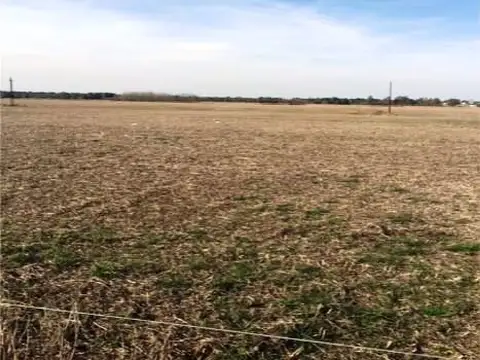 SOBRE RUTA 11 Y RUTA 33 100