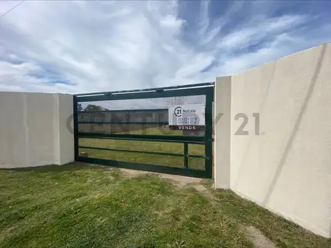 37 entre 164 y 165 , Piso 0