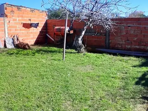 Pombo 100