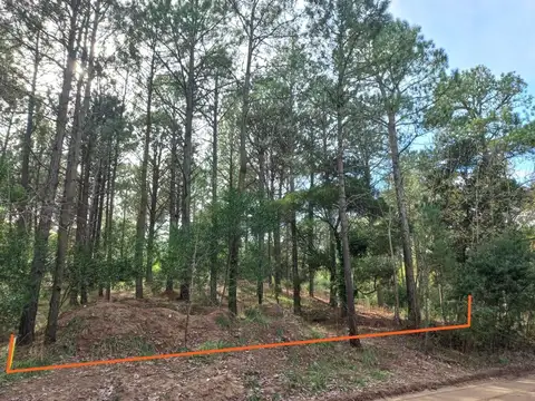 Lote en Venta Zona Residencial Cariló