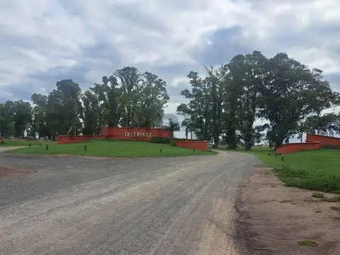 RUTA 6
