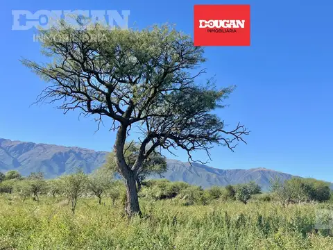 Terreno en Venta en Carpinteria, Junín