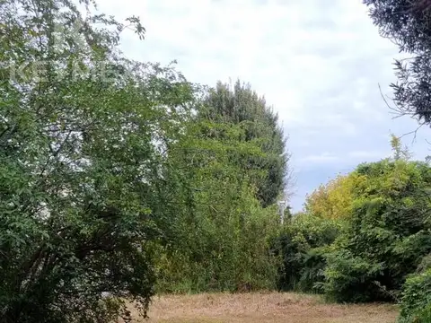 Terreno en Venta 12  mts Frente