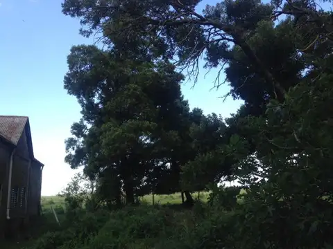 Las Flores, a 6 km R N°3 y 230 km de CABA