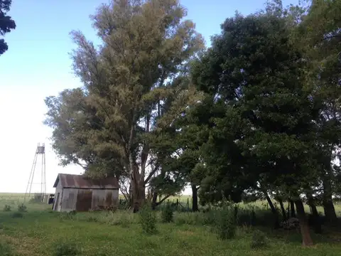 Las Flores, a 6 km R N°3 y 230 km de CABA