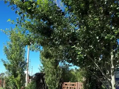 Pavon 1261 , Piso No definido