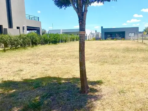 Terreno en Venta de 460,0 m2