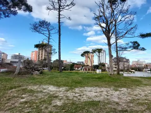 Avenida 2 entre Paseo 105 y 107