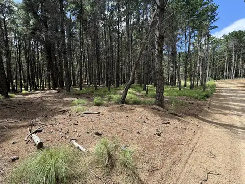 Terreno en venta - 865mts2 - Villa Robles, Pinamar