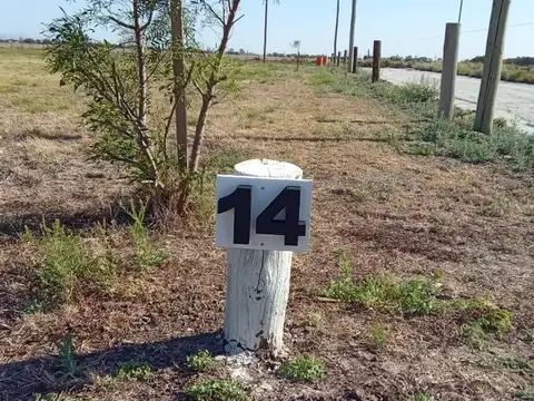 Boulevard 18 de Julio