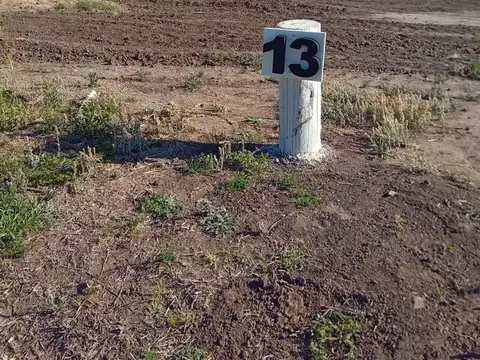 Terreno en Venta de 256,0 m2