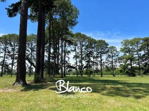 Lote en Venta en Pinares CC, Exaltación de la Cruz, G.B.A. Zona Norte