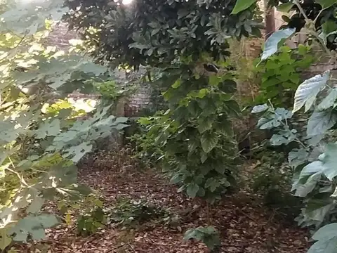 Terreno en Venta de 430,0 m2