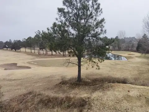 Terreno en Venta en Carlos Paz Golf, USD 22.999