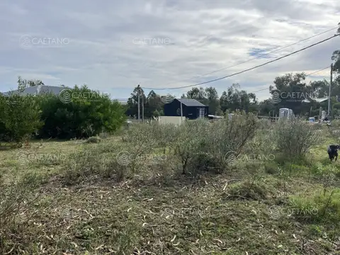 Terreno en Venta 31  mts Frente