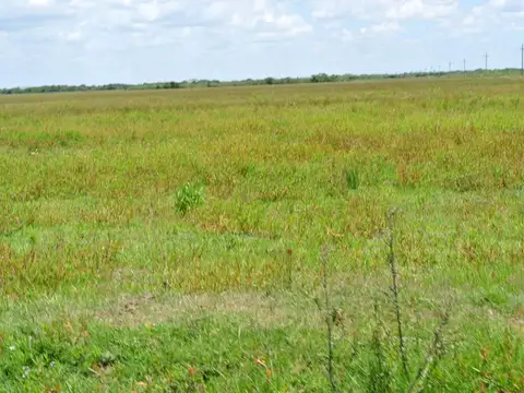 Ruta 8 y 40 kms de Camino Vecinal