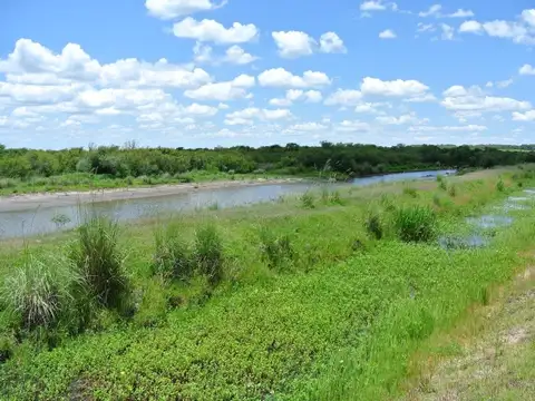 Campo de 1300ha en Cerro Largo Arrocero