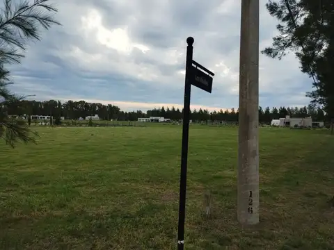 Campo de roca ll