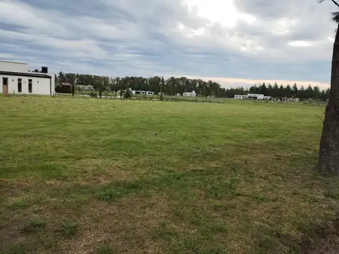 Terreno en Venta de 2356,0 m2
