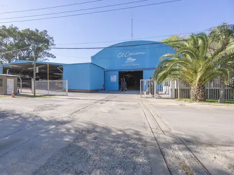 ARRIBEÑOS 100