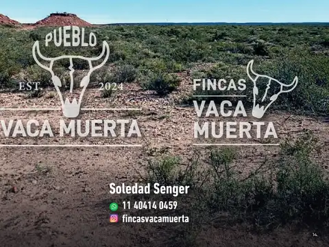 VENTA DE TERRENO EN VACA MUERTA