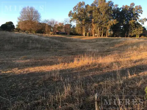 Terreno en Venta de 10000,0 m2
