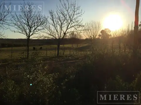 Terreno en Venta en Zelaya, USD 119.000