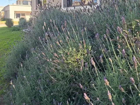 Casa en Alquiler en Las Canitas, Malagueño