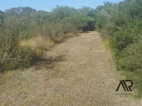 Ruta 9, Departamento de Maldonado,