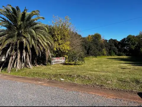 Santa Maria y Las Margaritas