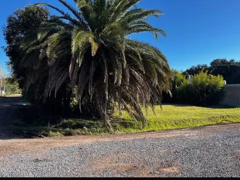 Lote en Barrio Las Margaritas