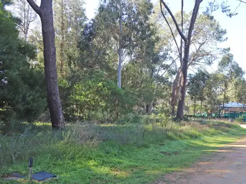 Venta  terreno Reserva Montoya
