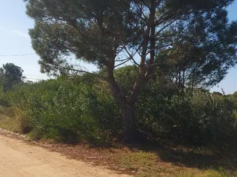 Terreno en Venta de 316,0 m2