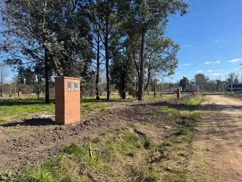 Lotes La Lonja Pilar Barrio Cerrad C/ Financiacion