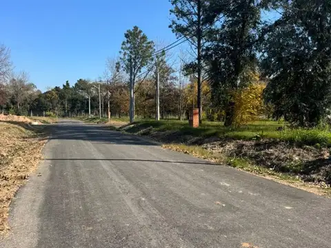 Terreno en Venta 25  mts Fondo