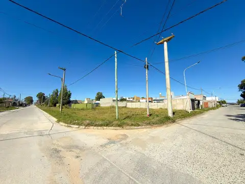 J. M Lester & Darragueira