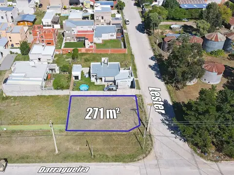 J. M Lester & Darragueira